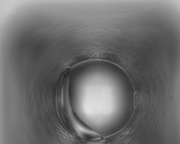 X0000060581202200511101647