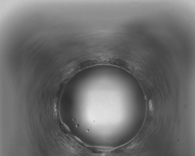 X0000060581203200511101647