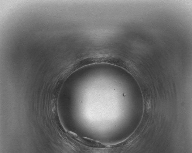 X0000060581204200511101647