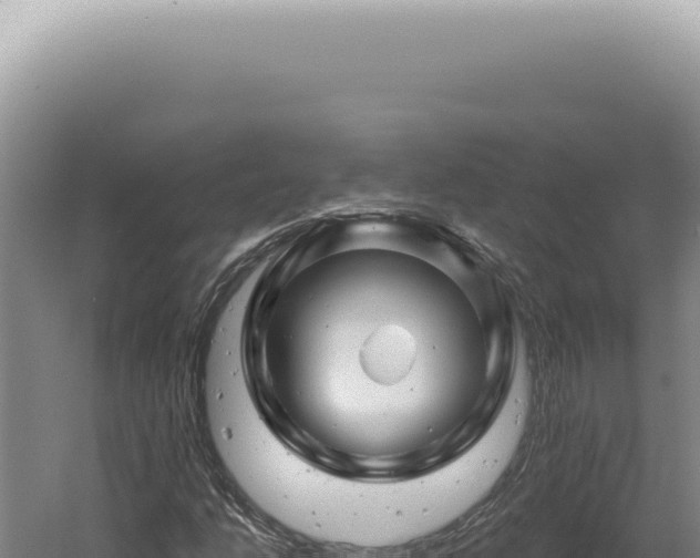 X0000060581206200511101647