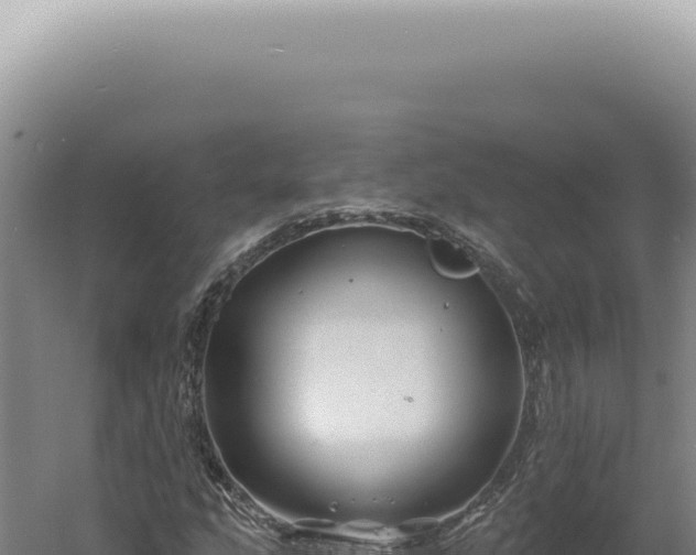 X0000060581207200511101647