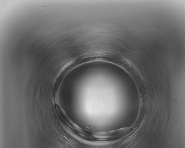 X0000060581210200511101647