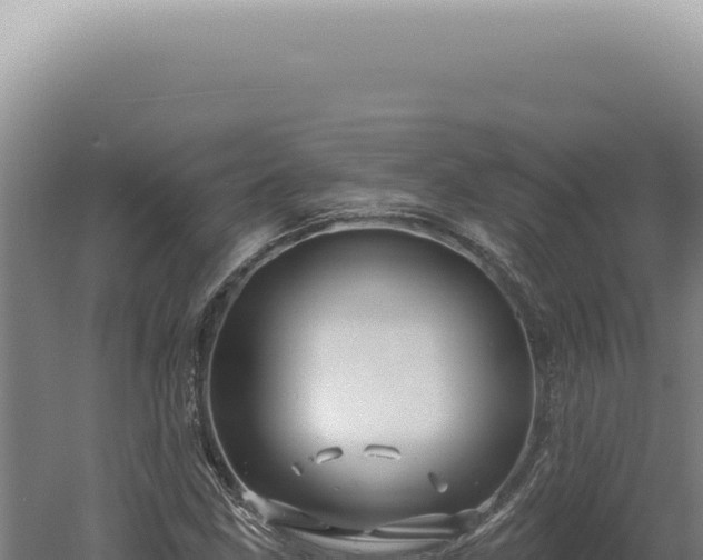 X0000060581211200511101647