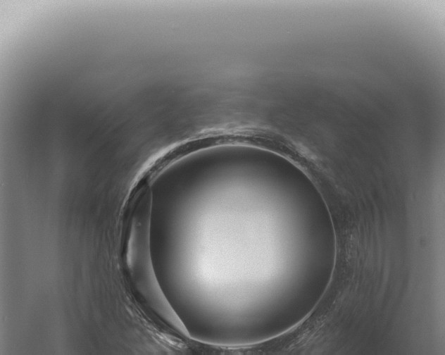 X0000060581214200511101647