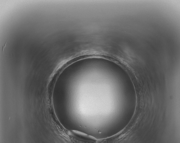 X0000060581215200511101647