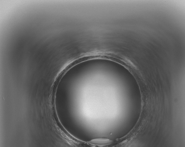 X0000060581216200511101647