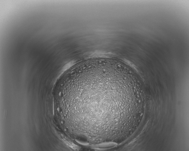 X0000060581219200511101647