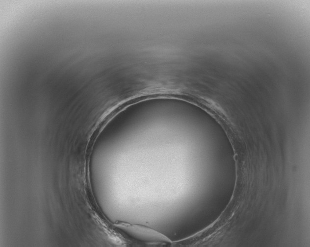 X0000060581220200511101647