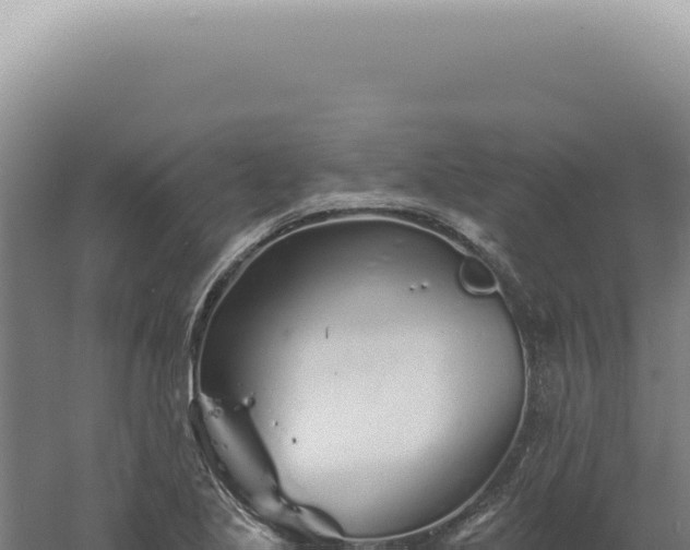 X0000060581221200511101647