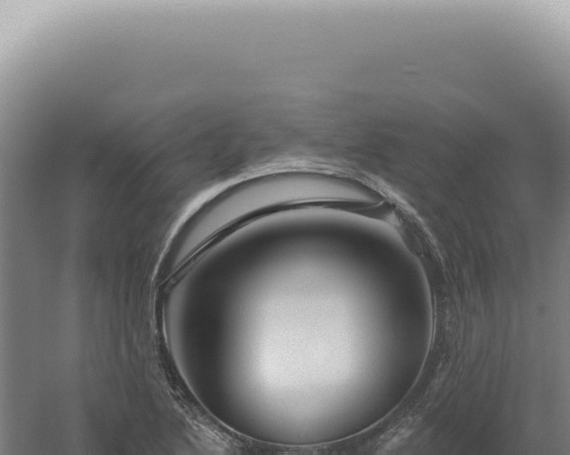 X0000060581222200511101647