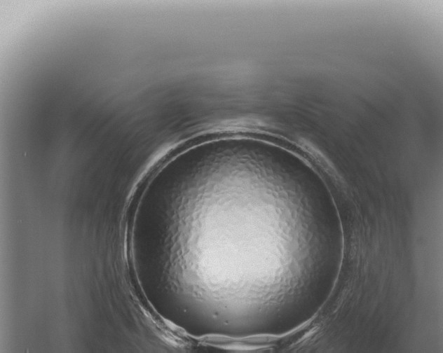 X0000060581224200511101647