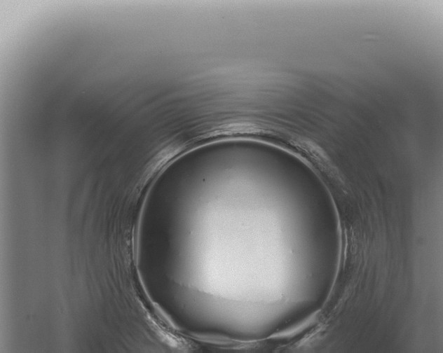 X0000060581225200511101647