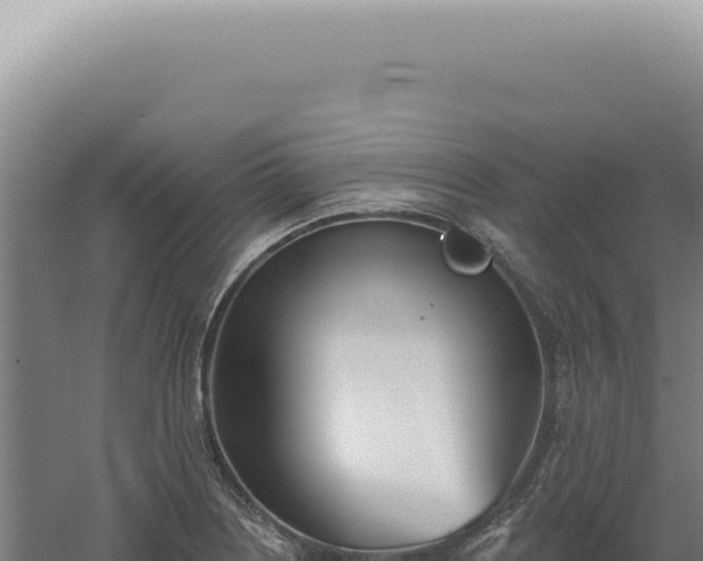 X0000060581226200511101647