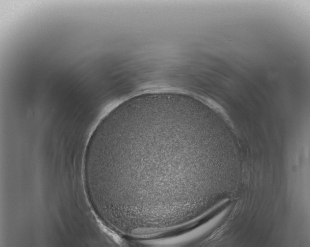 X0000060581231200511101647