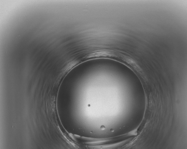 X0000060581233200511101647