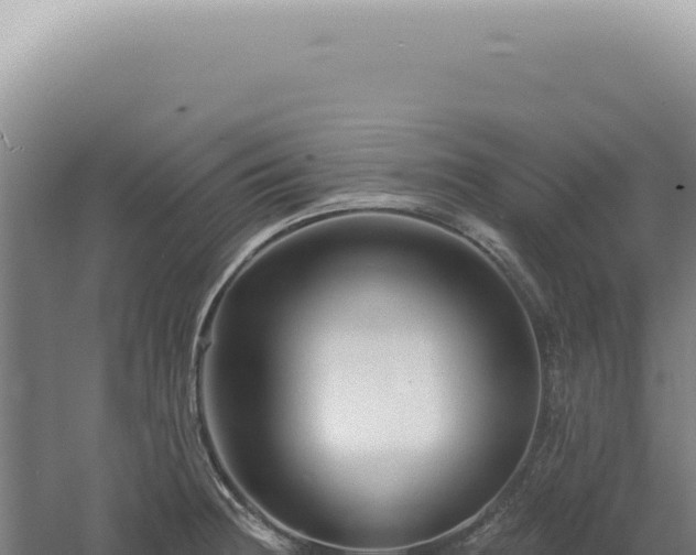 X0000060581236200511101647