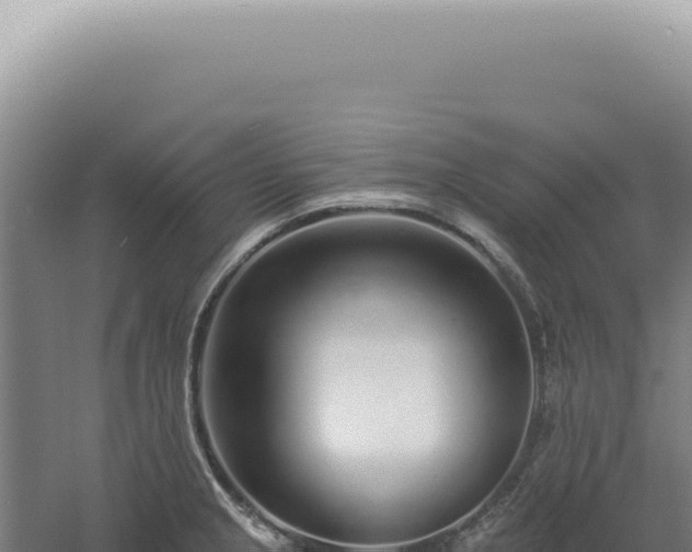 X0000060581237200511101647