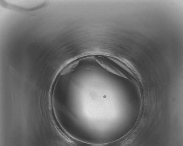 X0000060581238200511101647