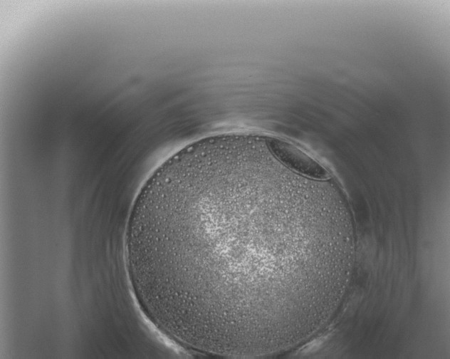 X0000060581239200511101647