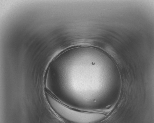 X0000060581240200511101647