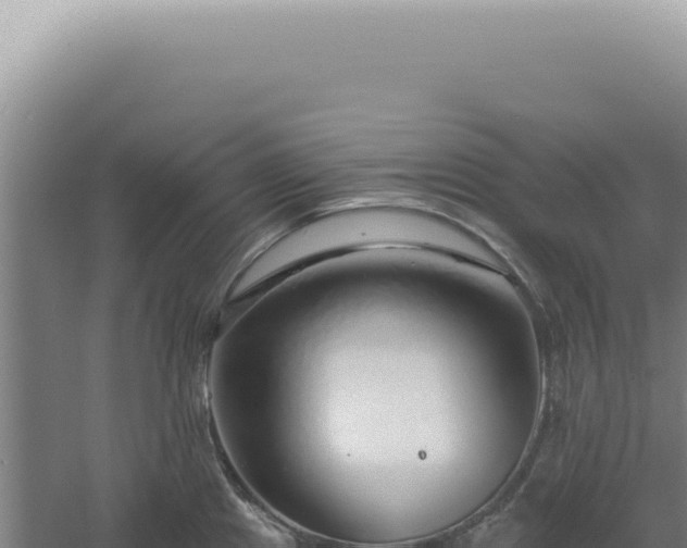 X0000060581241200511101647