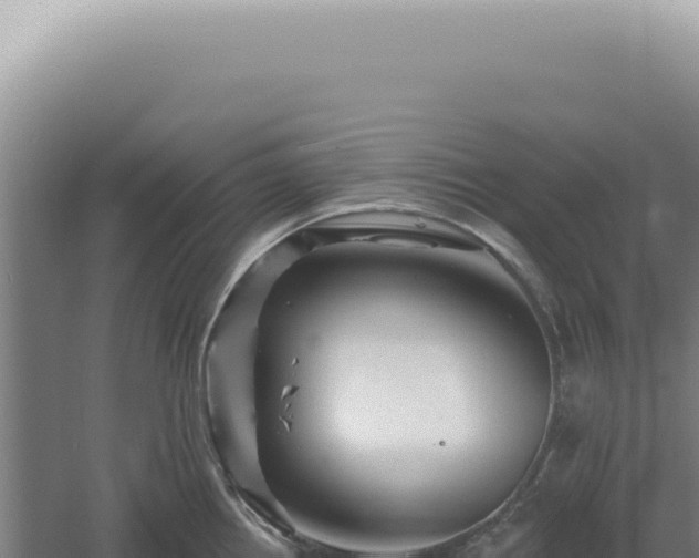 X0000060581242200511101647