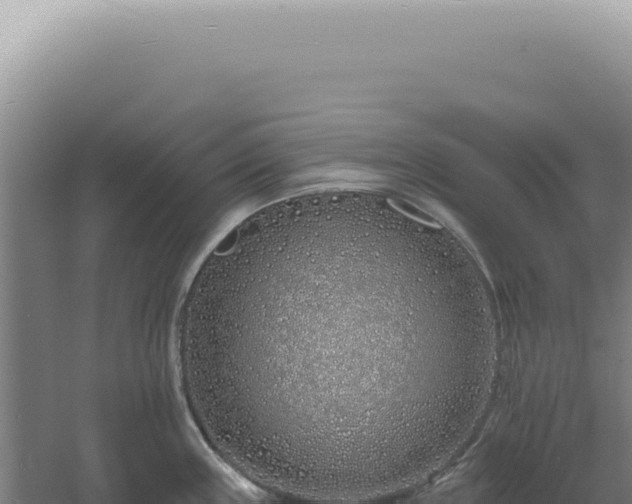 X0000060581243200511101647