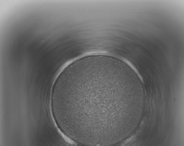 X0000060581245200511101647