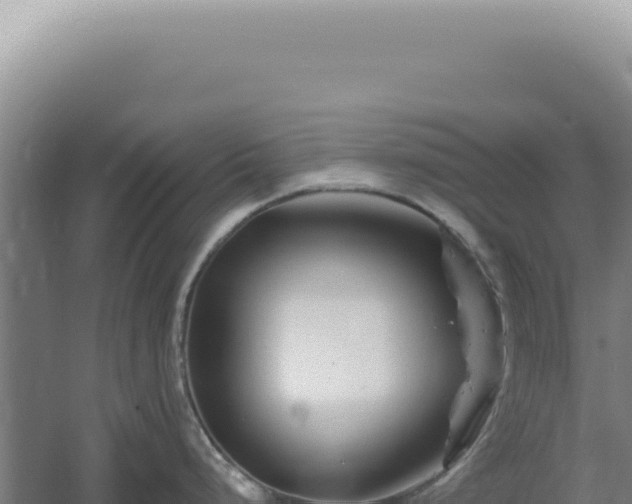 X0000060581248200511101647