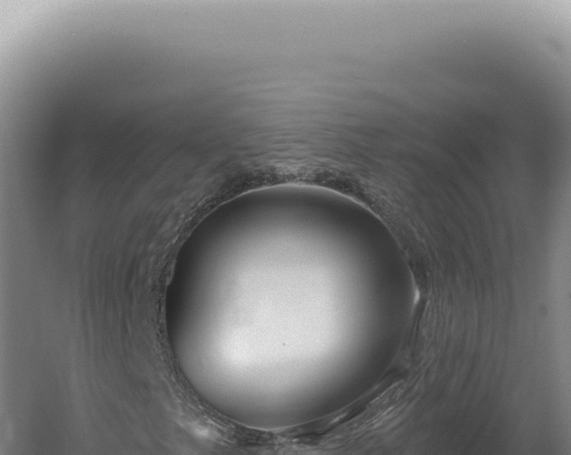 X0000060581249200511101647