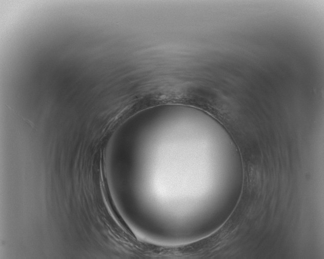 X0000060581250200511101647