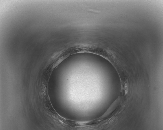 X0000060581253200511101647