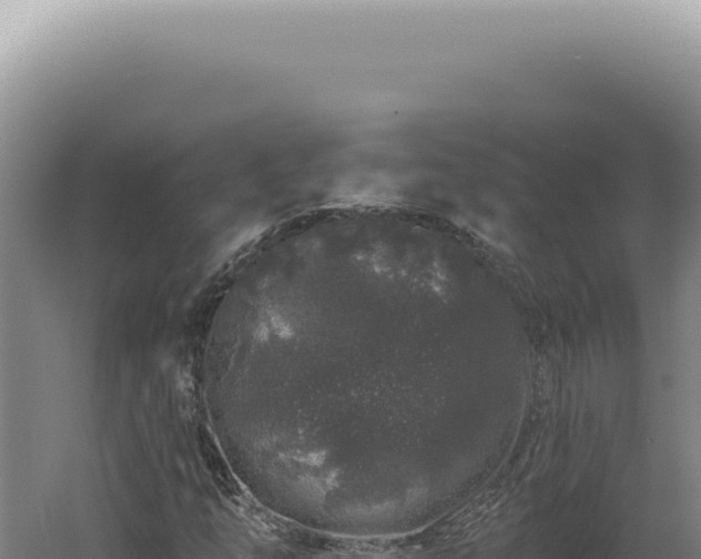 X0000060581254200511101647