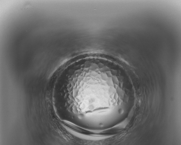 X0000060581255200511101647