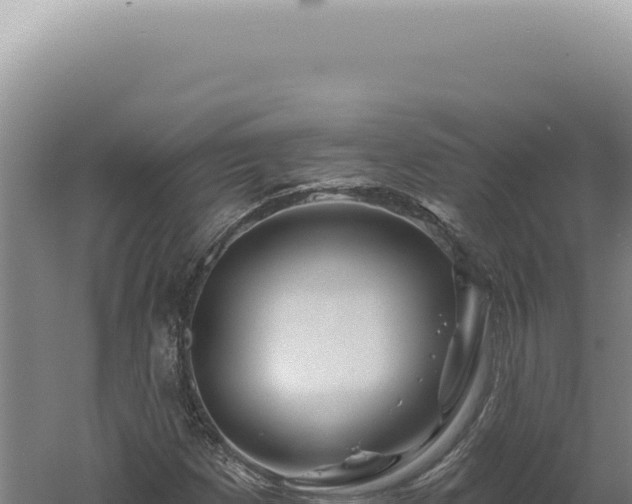 X0000060581257200511101646