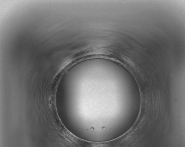 X0000060581258200511101646