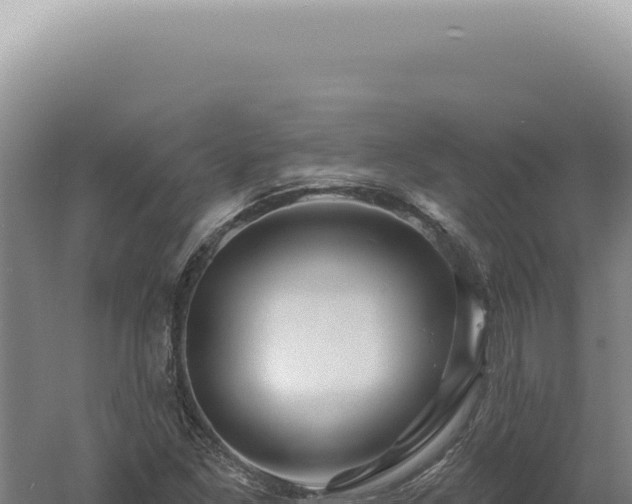 X0000060581261200511101646