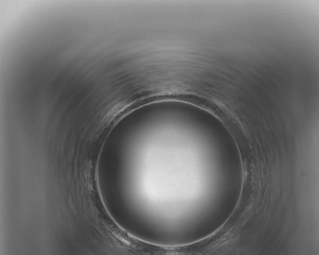 X0000060581265200511101646