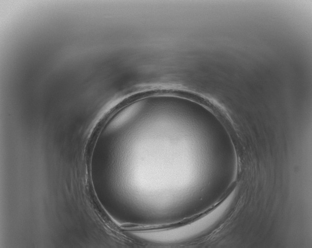 X0000060581271200511101646