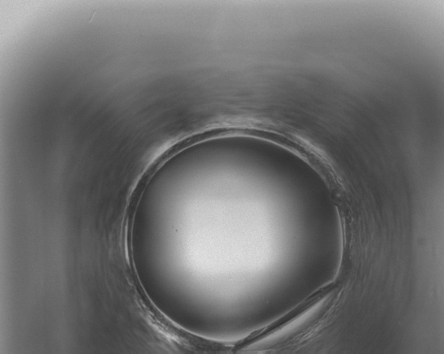 X0000060581272200511101646