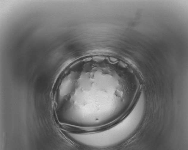 X0000060581275200511101646