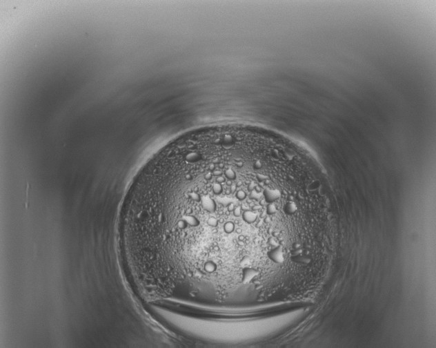 X0000060581279200511101646