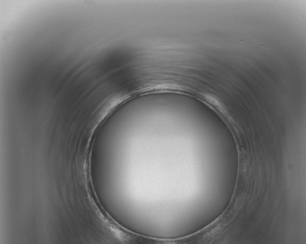 X0000060581282200511101646