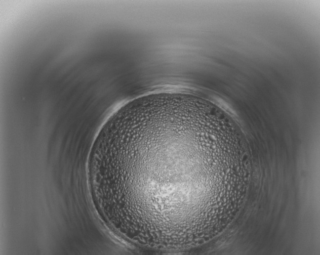 X0000060581283200511101646