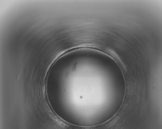 X0000060581284200511101646