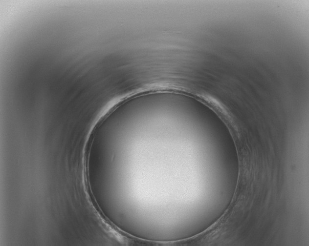 X0000060581286200511101646