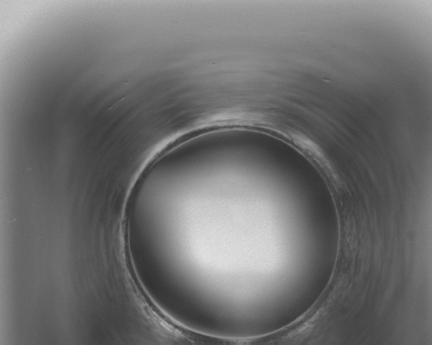 X0000060581288200511101646