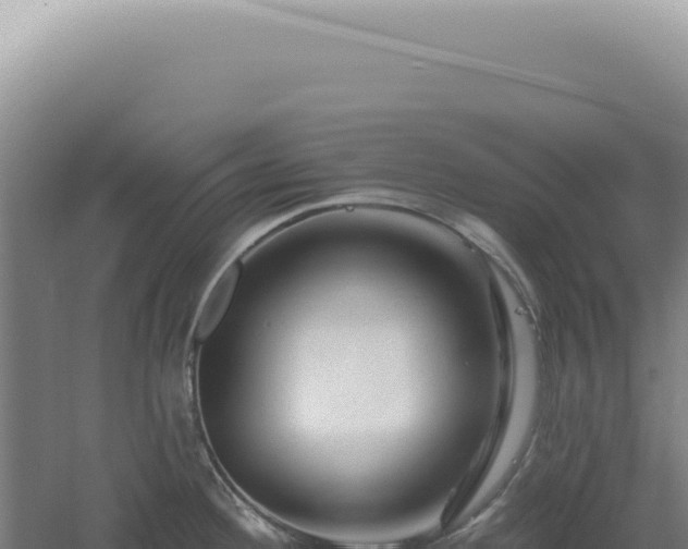 X0000060581292200511101646