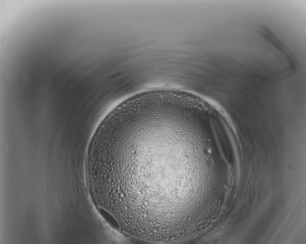 X0000060581295200511101646