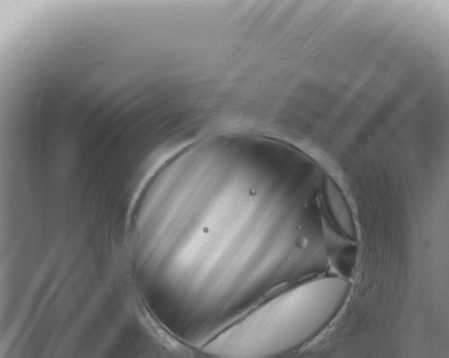 X0000060581296200511101646